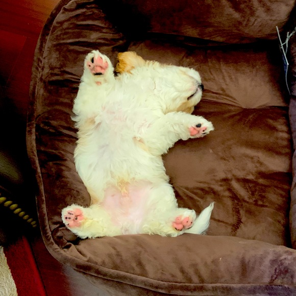 hello 💕 - Picture 1 of 1